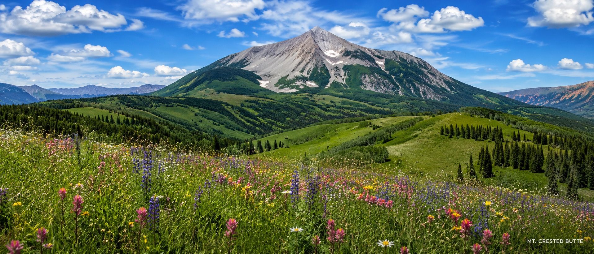 Mt. Crested Butte above summer wildflower meadows