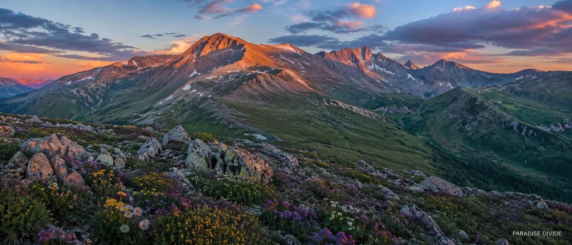 Alpine wildflowers and peaks at Paradise Divide near Crested Butte