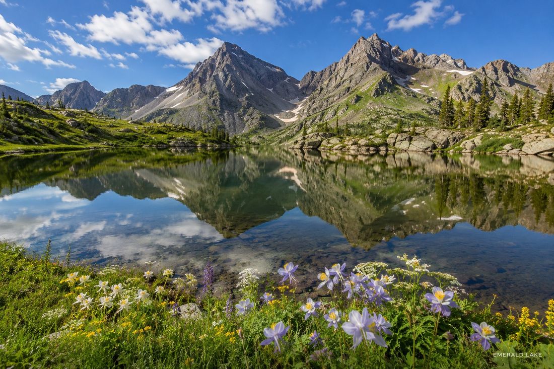 Mountain reflection and columbine flowers at Emerald Lake