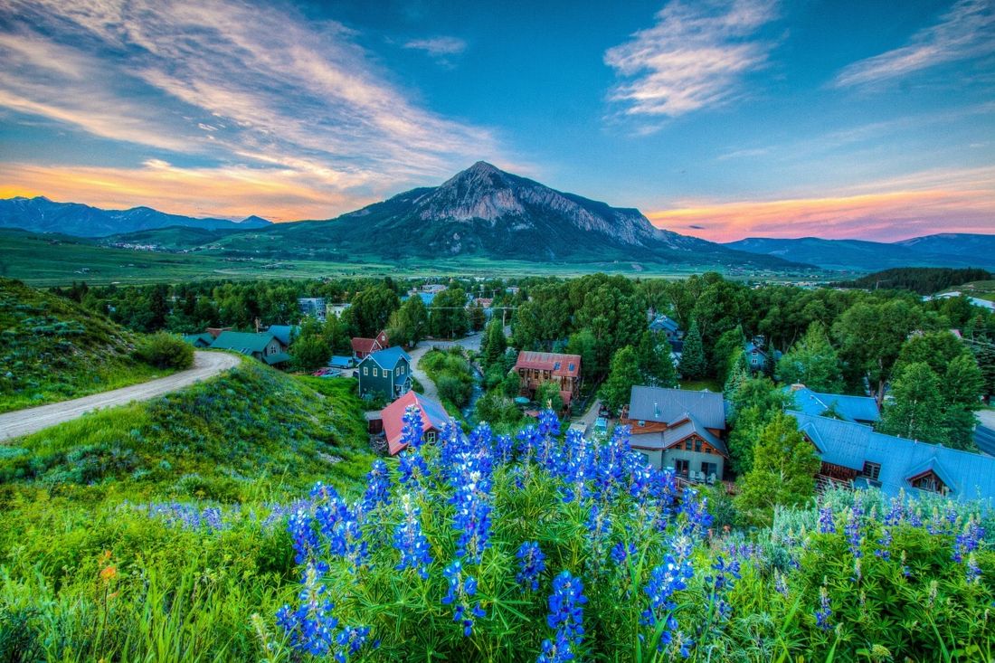 Crested Butte and lupine wildflowers below Mt. Crested Butte at dusk