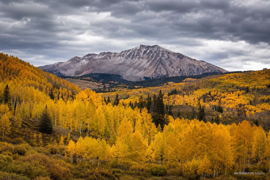 Golden aspens and peaks in Washington Gulch in autumn